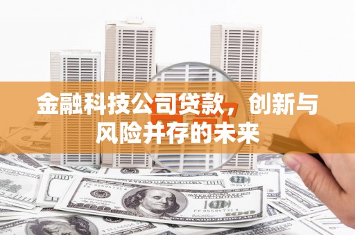 禅城金融科技公司贷款，创新与风险并存的未来