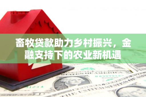 禅城畜牧贷款助力乡村振兴，金融支持下的农业新机遇