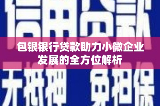 禅城包银银行贷款助力小微企业发展的全方位解析