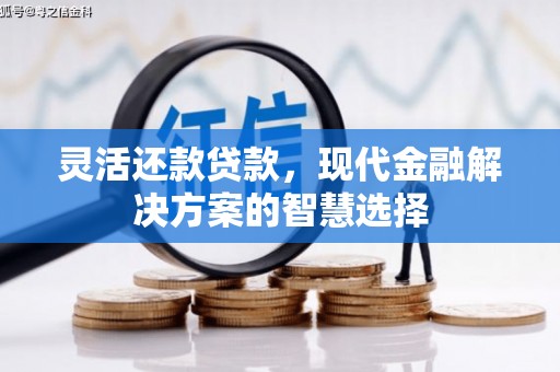 禅城灵活还款贷款，现代金融解决方案的智慧选择