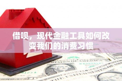 禅城借呗，现代金融工具如何改变我们的消费习惯