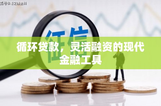 禅城循环贷款，灵活融资的现代金融工具