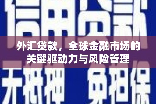 禅城外汇贷款，全球金融市场的关键驱动力与风险管理