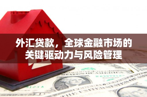 禅城外汇贷款，全球金融市场的关键驱动力与风险管理