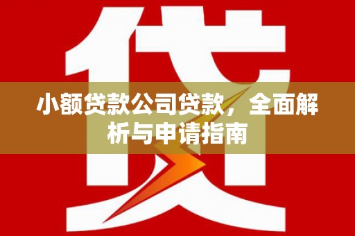 禅城小额贷款公司贷款，全面解析与申请指南