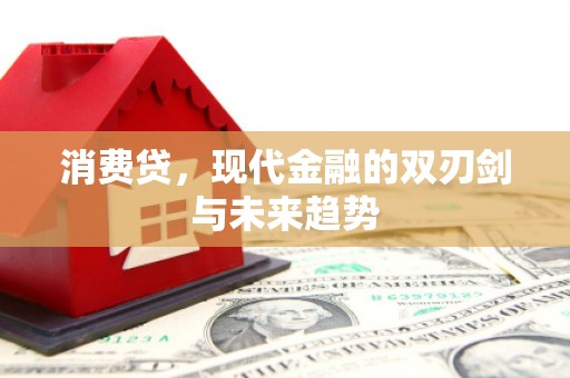 禅城消费贷，现代金融的双刃剑与未来趋势