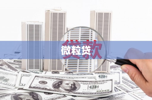 禅城微粒贷