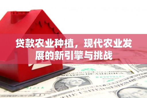 禅城贷款农业种植，现代农业发展的新引擎与挑战