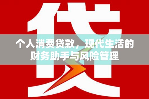 禅城个人消费贷款，现代生活的财务助手与风险管理