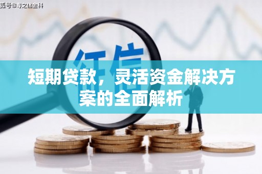 禅城短期贷款，灵活资金解决方案的全面解析