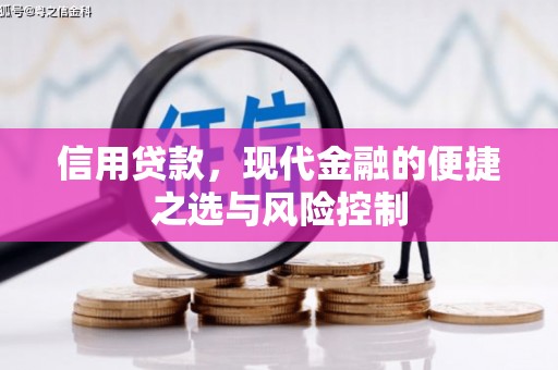 禅城信用贷款，现代金融的便捷之选与风险控制