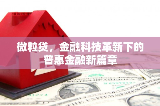 禅城微粒贷，金融科技革新下的普惠金融新篇章