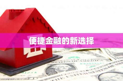 禅城便捷金融的新选择