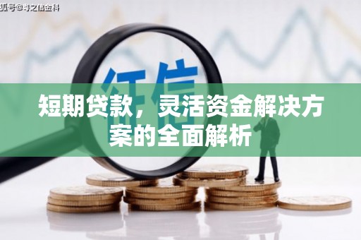 禅城短期贷款，灵活资金解决方案的全面解析