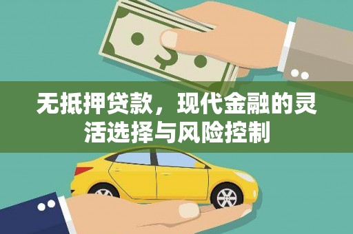 禅城无抵押贷款，现代金融的灵活选择与风险控制