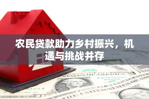 禅城农民贷款助力乡村振兴，机遇与挑战并存