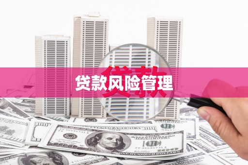 禅城贷款风险管理