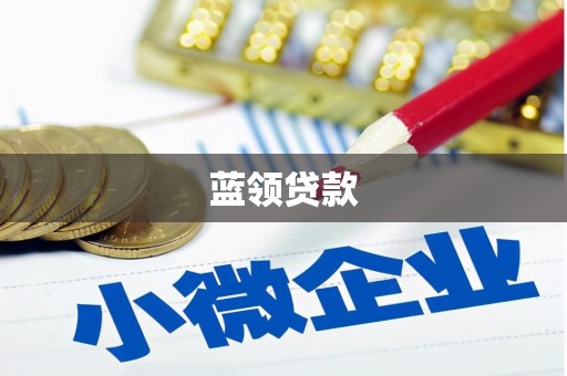 禅城蓝领贷款