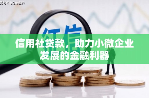 禅城信用社贷款，助力小微企业发展的金融利器