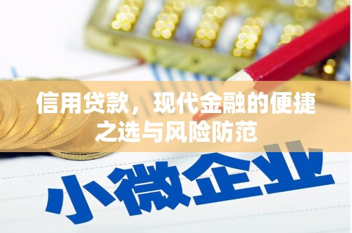 禅城信用贷款，现代金融的便捷之选与风险防范