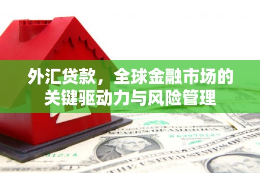 禅城外汇贷款，全球金融市场的关键驱动力与风险管理