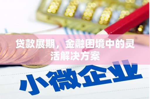 禅城贷款展期，金融困境中的灵活解决方案