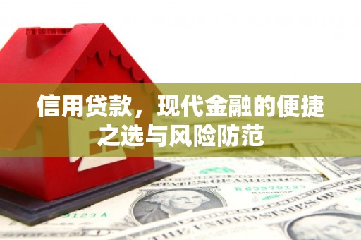 禅城信用贷款，现代金融的便捷之选与风险防范