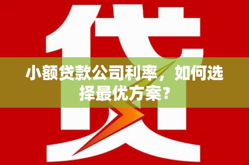 禅城小额贷款公司利率，如何选择最优方案？
