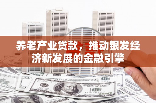 禅城养老产业贷款，推动银发经济新发展的金融引擎