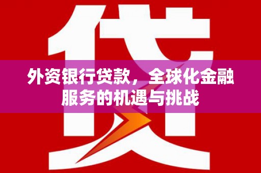 禅城外资银行贷款，全球化金融服务的机遇与挑战