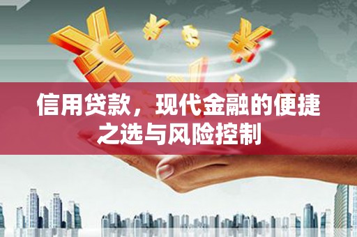 禅城信用贷款，现代金融的便捷之选与风险控制