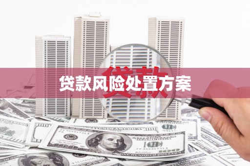 禅城贷款风险处置方案