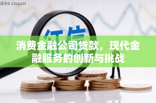 禅城消费金融公司贷款，现代金融服务的创新与挑战