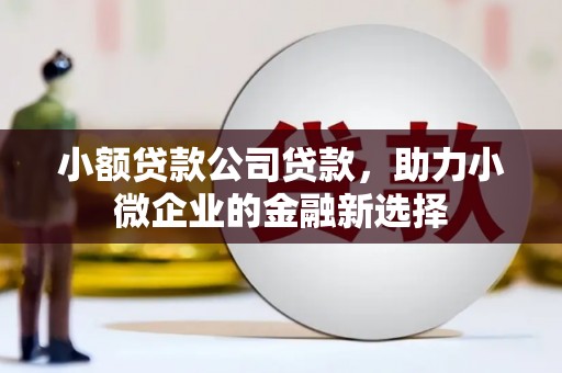 禅城小额贷款公司贷款，助力小微企业的金融新选择
