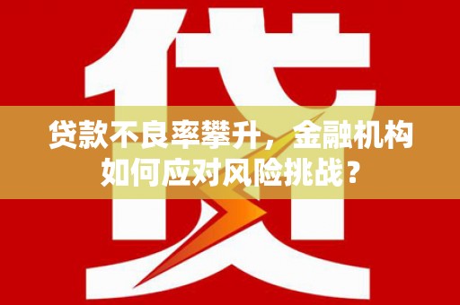 禅城贷款不良率攀升，金融机构如何应对风险挑战？