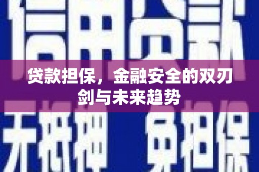 禅城贷款担保，金融安全的双刃剑与未来趋势