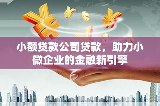 禅城小额贷款公司贷款，助力小微企业的金融新引擎