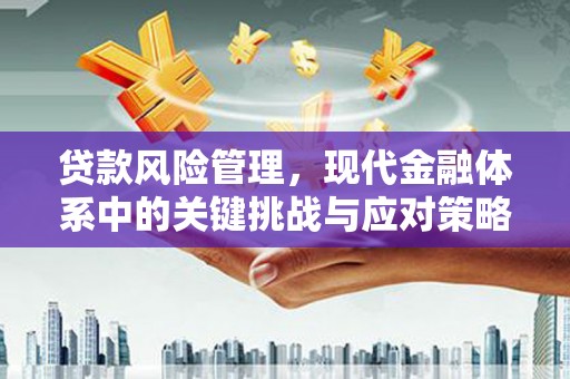 禅城贷款风险管理，现代金融体系中的关键挑战与应对策略