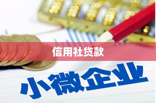 禅城信用社贷款