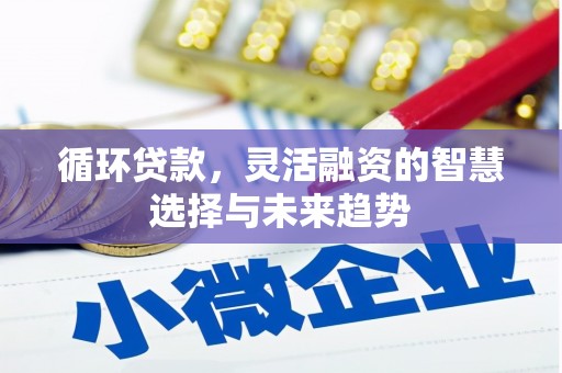 禅城循环贷款，灵活融资的智慧选择与未来趋势