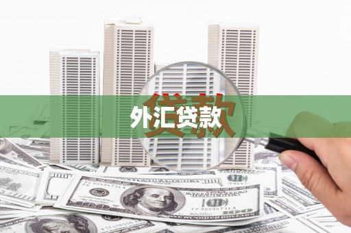 禅城外汇贷款