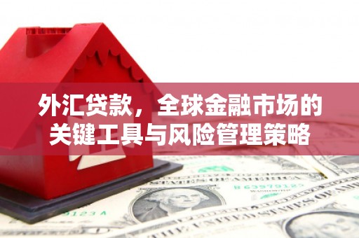 禅城外汇贷款，全球金融市场的关键工具与风险管理策略