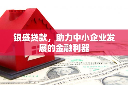 禅城银盛贷款，助力中小企业发展的金融利器