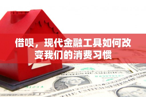 禅城借呗，现代金融工具如何改变我们的消费习惯