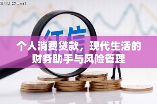 禅城个人消费贷款，现代生活的财务助手与风险管理