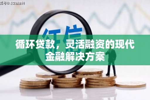 禅城循环贷款，灵活融资的现代金融解决方案
