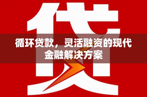 禅城循环贷款，灵活融资的现代金融解决方案