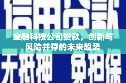 禅城金融科技公司贷款，创新与风险并存的未来趋势