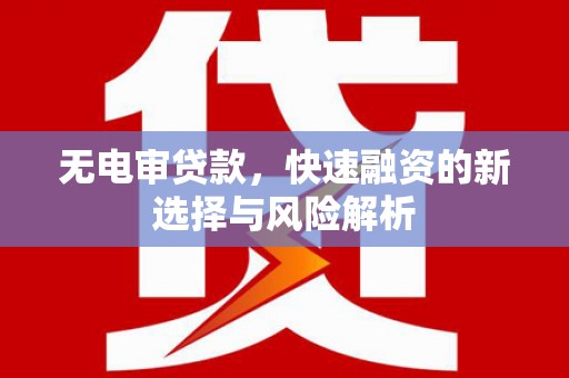 禅城无电审贷款，快速融资的新选择与风险解析