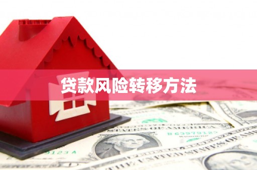 禅城贷款风险转移方法